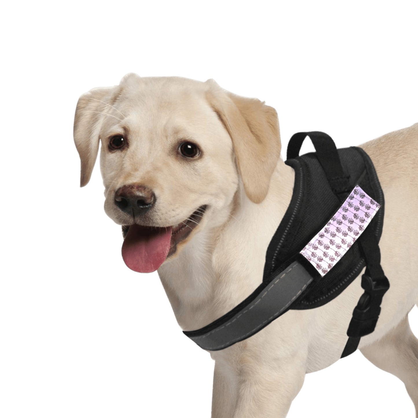 Palms inspired Dog Halter / Chest Strap & Traction Rope (Small) Art Meets Apparel