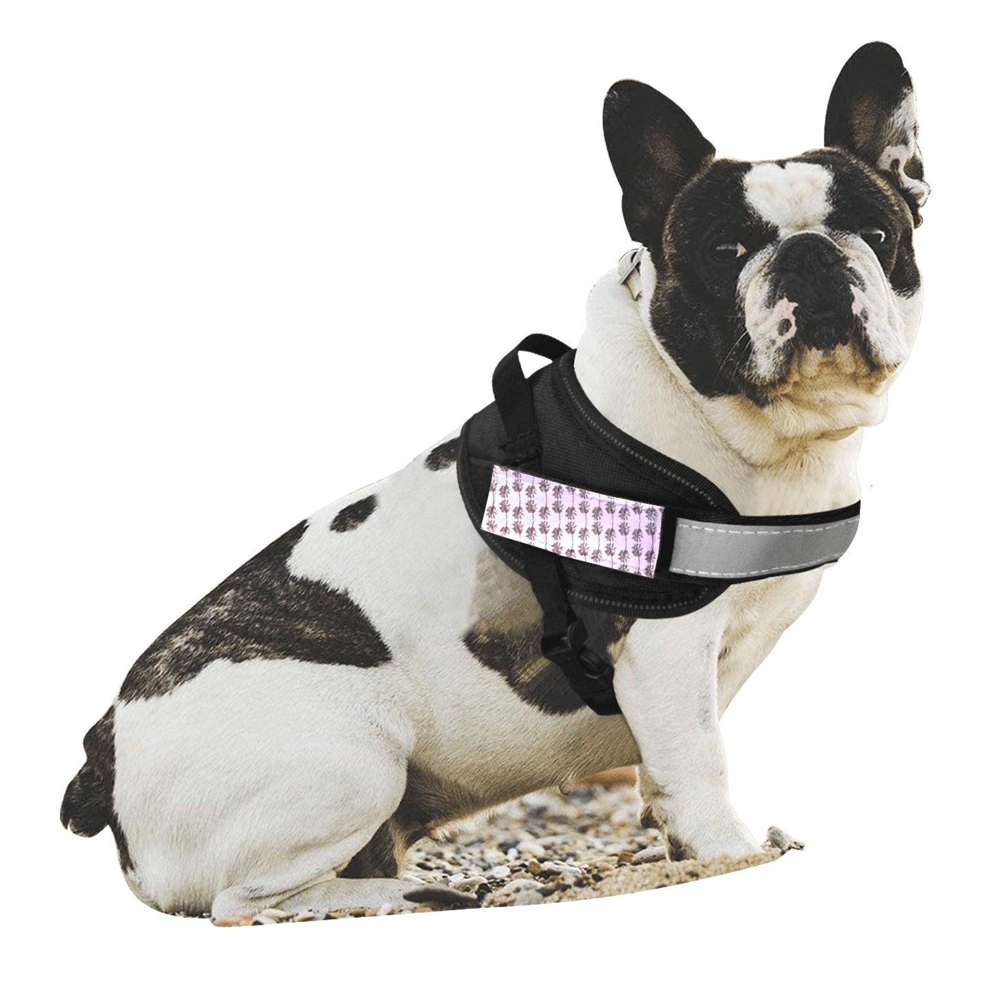 Palms inspired Dog Halter / Chest Strap & Traction Rope (Small) Art Meets Apparel